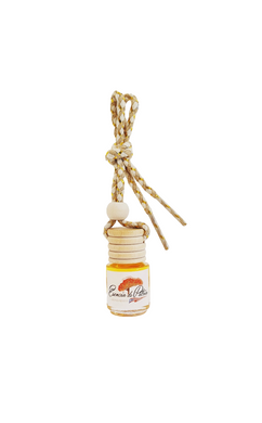 Difusor de olor para auto/ Odor diffuser for the car